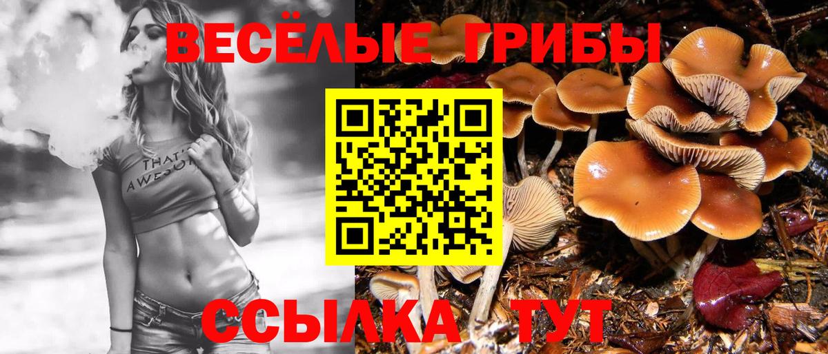 Псилоцибиновые грибы Psilocybine cubensis  Галлюциногенные грибы мухоморы  Кунгур  Вход с VPN 
