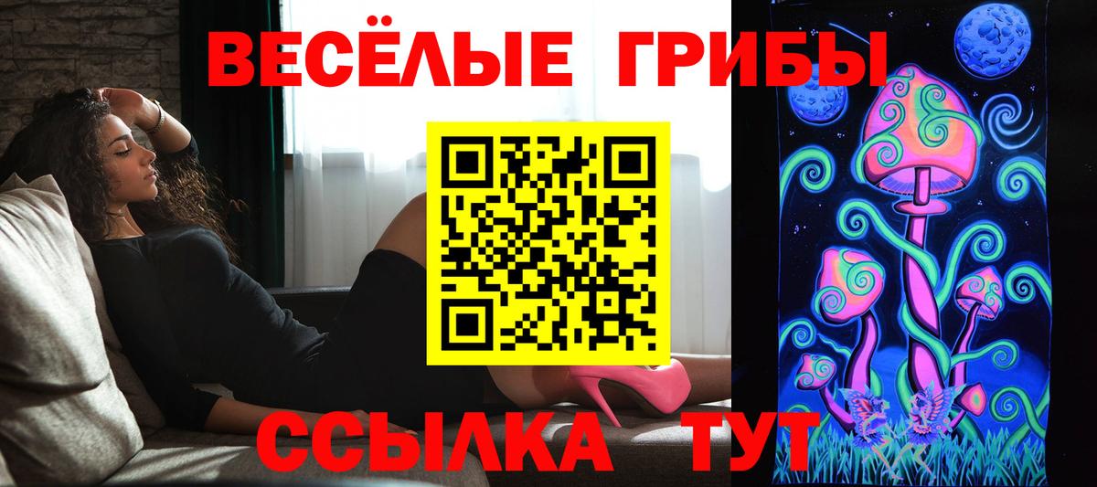 Галлюциногенные грибы Cubensis Кунгур